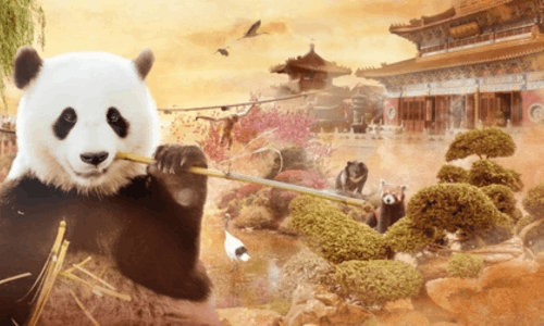 Read more about the article Accommodation near Pairi Daiza