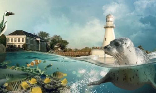 where to stay near Pairi Daiza : ferme de sorval