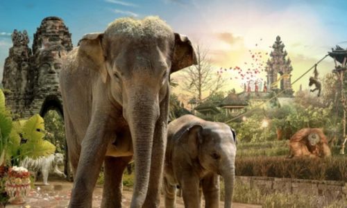 holiday cottage near Pairi Daiza : Ferme de Sorval