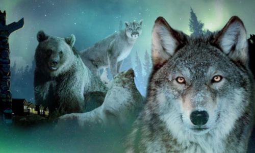 Accommodation near Pairi Daiza | Countryside Stay at La Ferme de Sorval