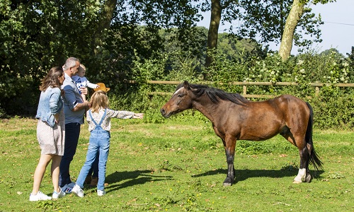 vivez fermeir à la Ferme de Sorval et découvrez ses animaux