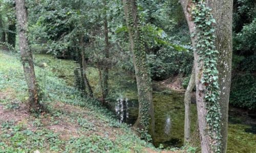 Bron van de Schelde in het groene landschap van Noord-Frankrijk