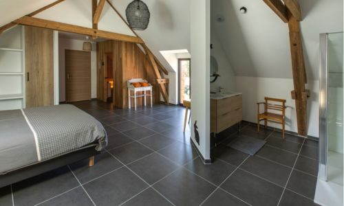 Spacious bedroom with an open-plan bathroom and private sauna